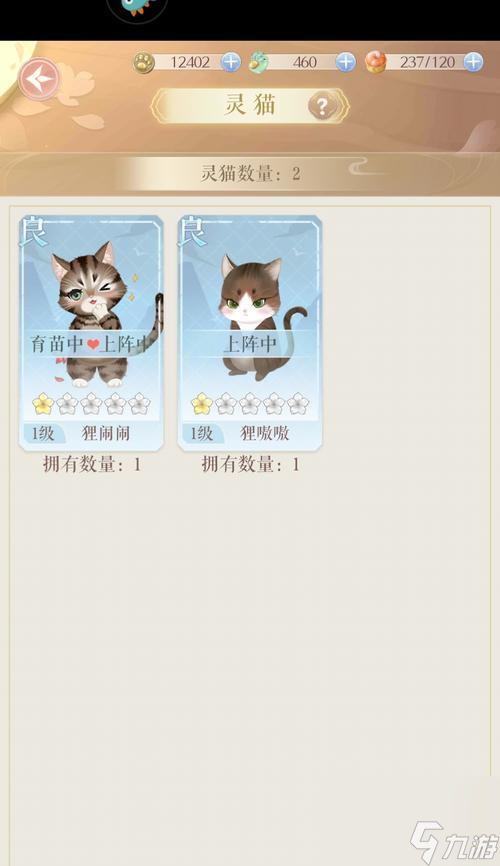 灵猫传（探寻灵猫世界中各式各样的猫咪品种）