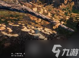 下一站江湖2富家千金如何开局