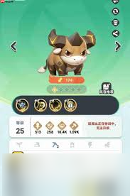 曙光重临新手该选哪些宠物推荐