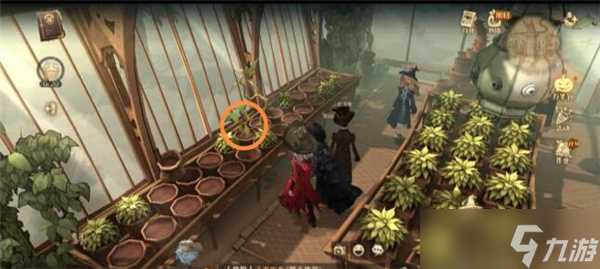 哈利波特魔法觉醒不同的植物有不同的用途拼图线索怎么找