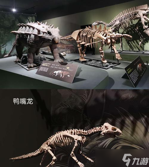恐龍皮膚如何獲得？有哪些途徑可以得到？