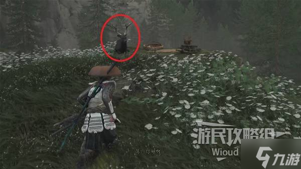 《羊蹄山之魂》泰西马获取方法 泰西马怎么获得