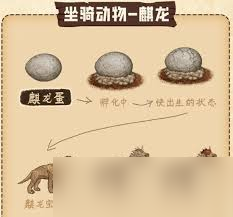 村落人生中有什么特殊物品