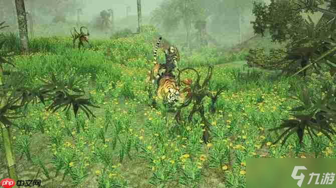 《圣域2：墮落天使》重制版11月11日發(fā)售 經(jīng)典西幻動作RPG