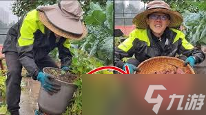 村落人生如何挖番薯
