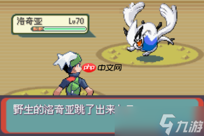 宝可梦神兽捕捉全攻略：告别无效丢球，大师之路在此