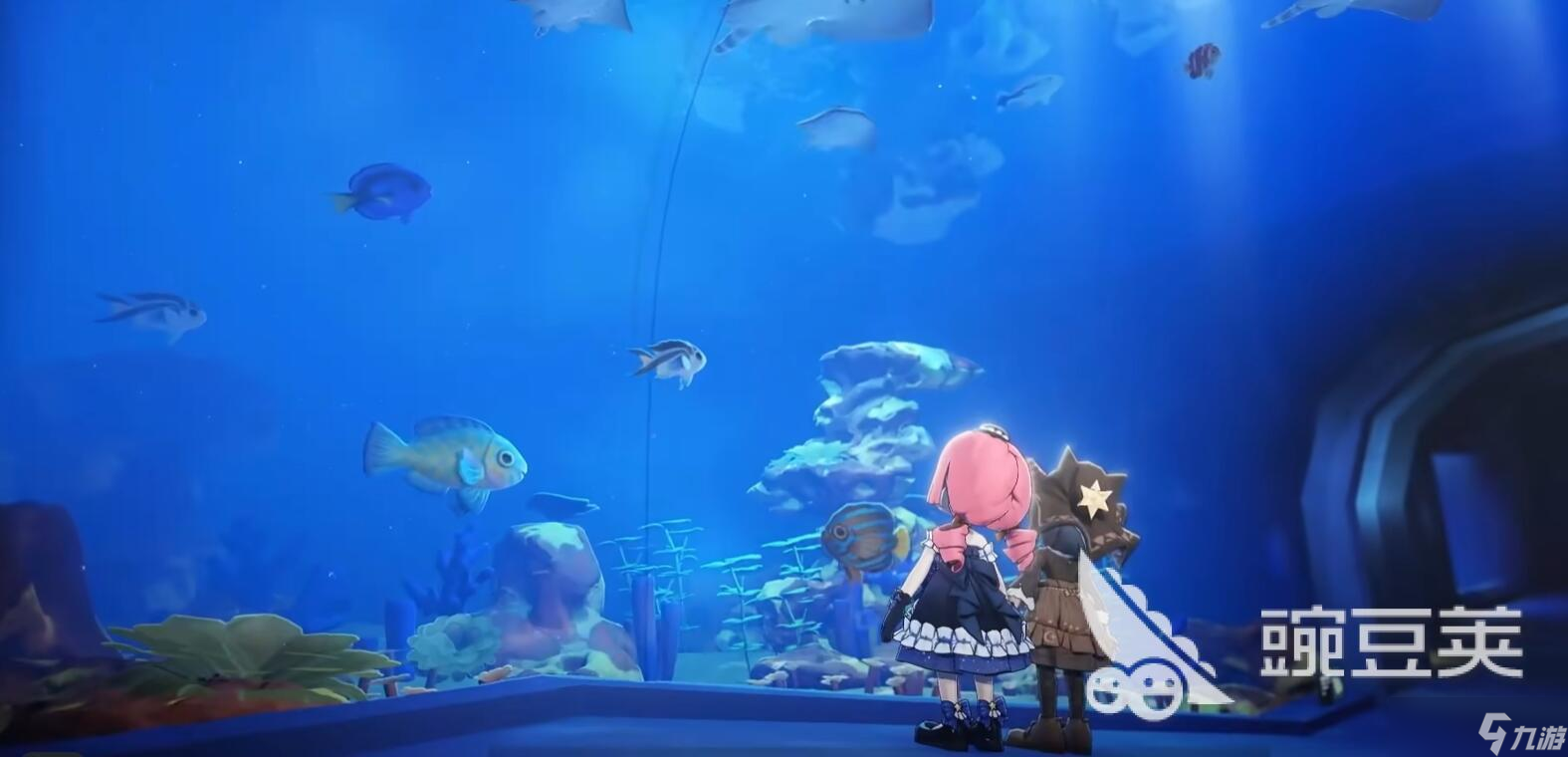 星布谷地物語新手攻略 星布谷地開局玩法詳解