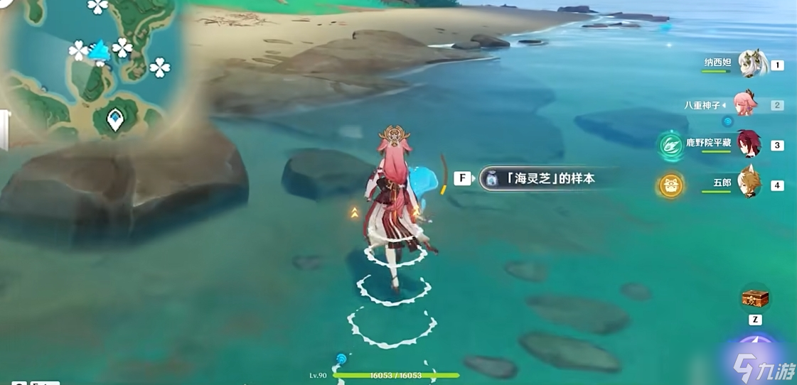 原神海灵芝位置在哪