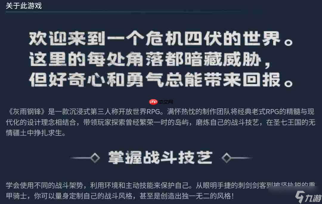 老派动作RPG《灰雨钢锋》将于11月6日发售 灵感来自《哥特王朝》《巫师》