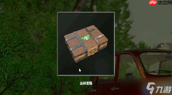 丛林宝藏猎人必备指南：解锁稀有皮肤与服饰的黄金法则