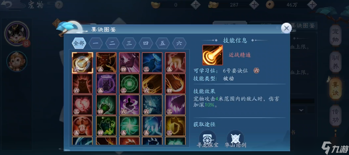 新笑傲江湖宠物怎么玩