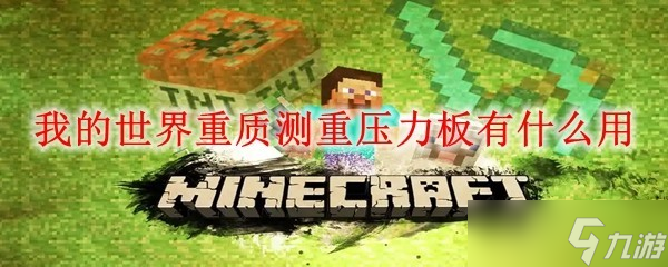 我的世界重质测重压力板有什么用