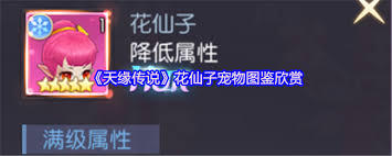 天缘传说小恶魔怎么样