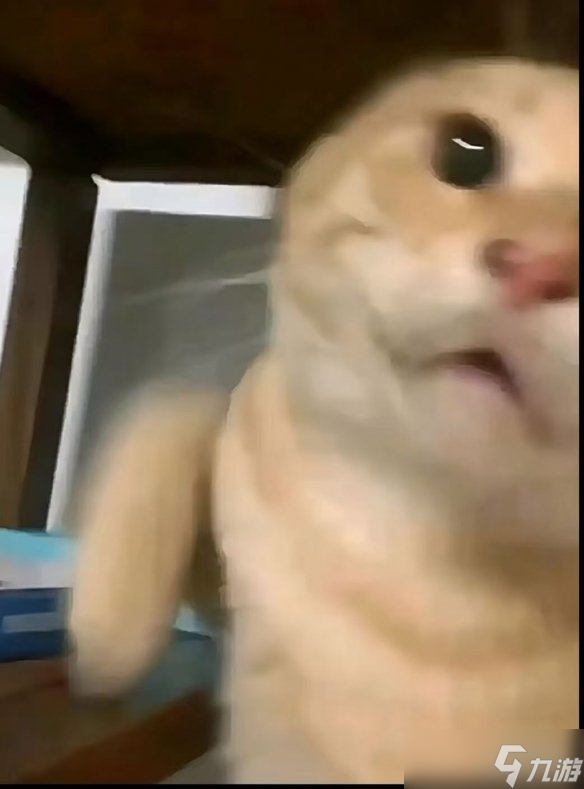 不要血怒挑战:别笑,你试也过不了第二关