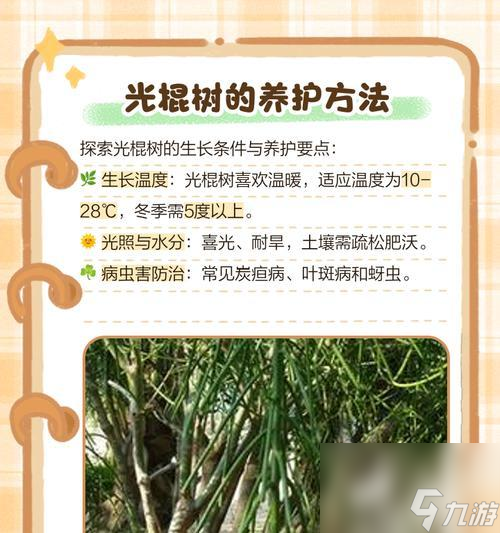 树木法术的获取途径是什么？需要满足哪些条件？