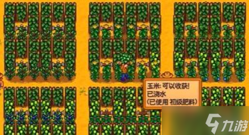 星露谷物语赚钱玩法