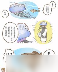水母鱼为何喜欢追随水母