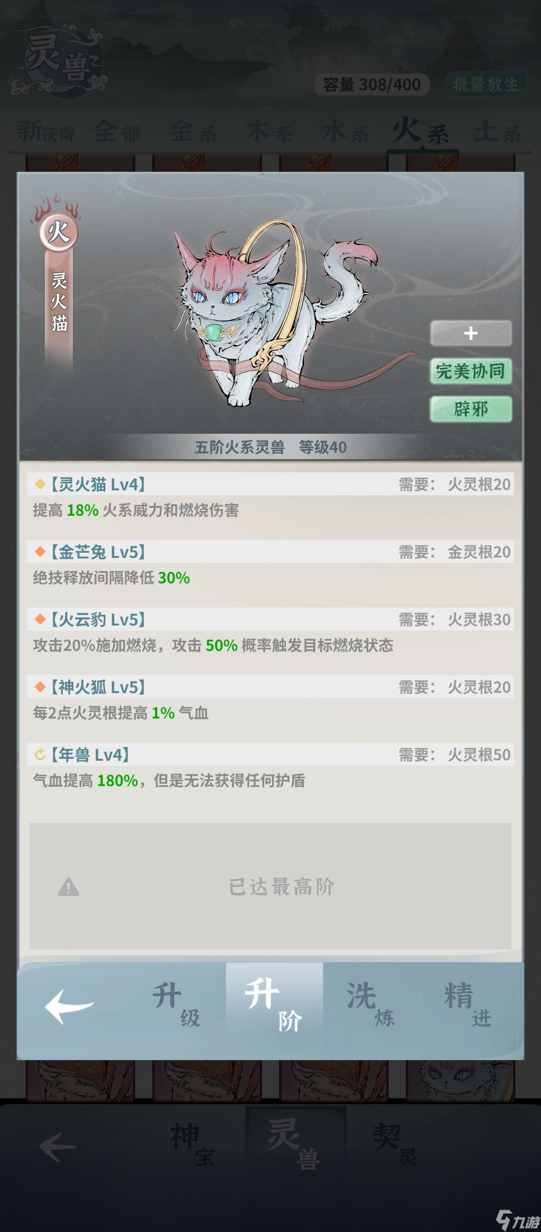 碧海苍云录火剑-烨凰昭开局攻略 内容仅供参考
