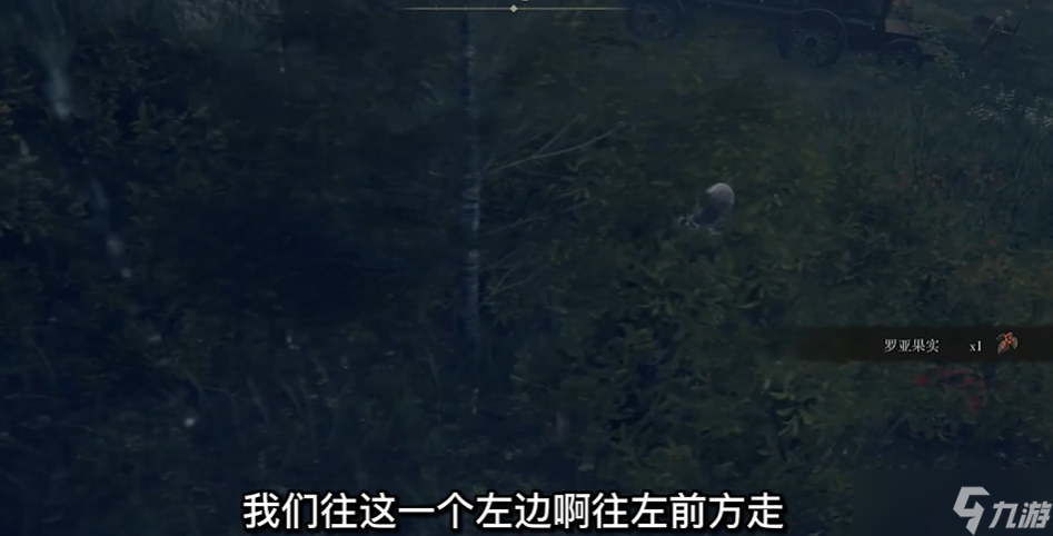 艾爾登法環(huán)梅琳娜在哪