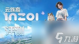 云族裔inzoi电脑无法使用怎么办
