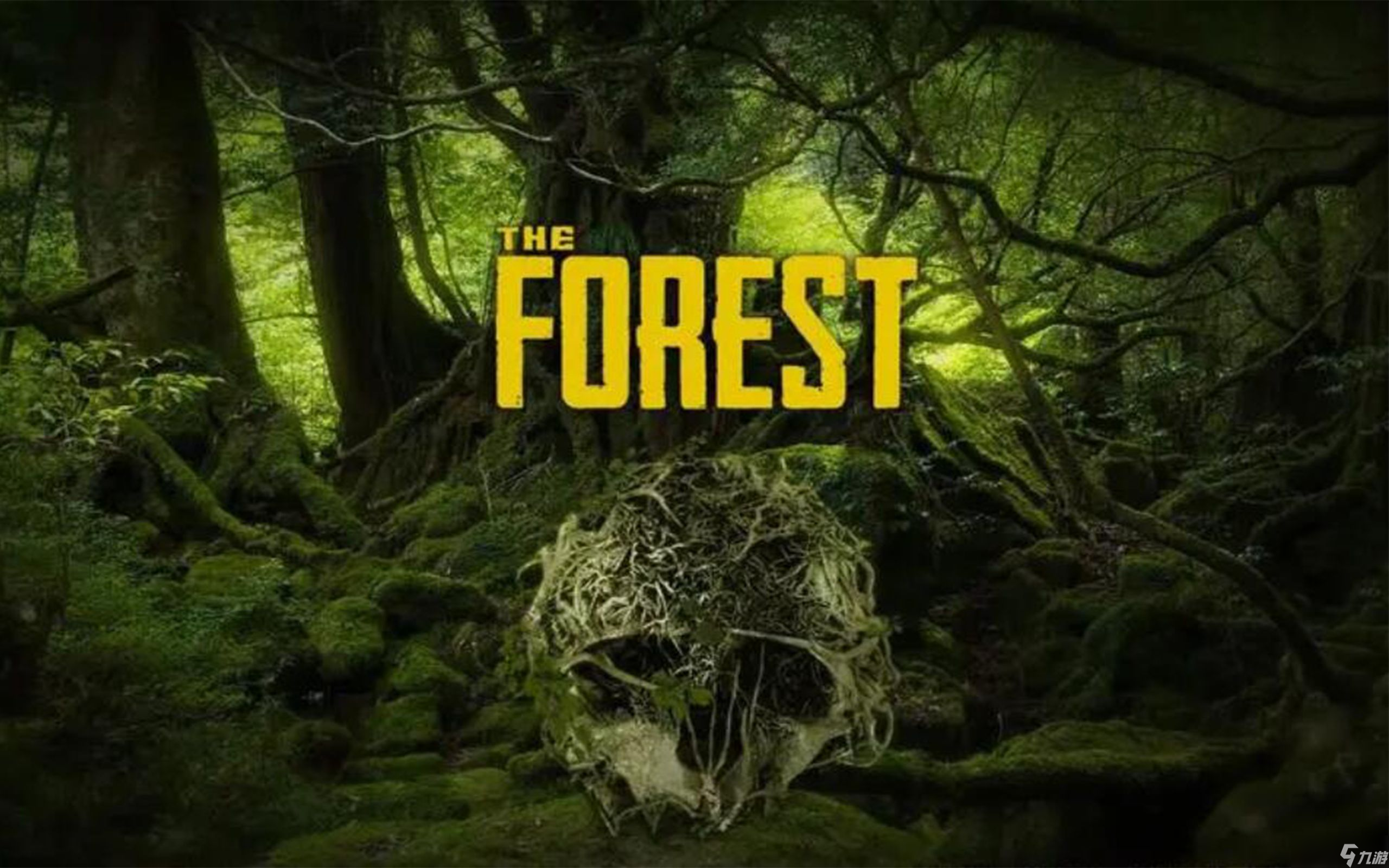 森林之子闪退怎么办 森林之子闪退是什么原因截图