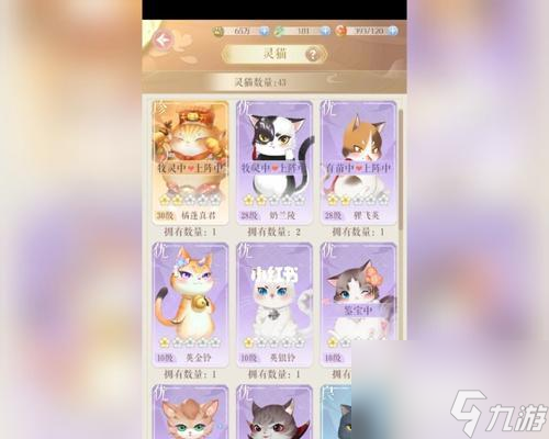 優(yōu)品靈貓大揭秘(以靈貓傳優(yōu)品靈貓品種為主題的精彩游戲體驗和傳說)