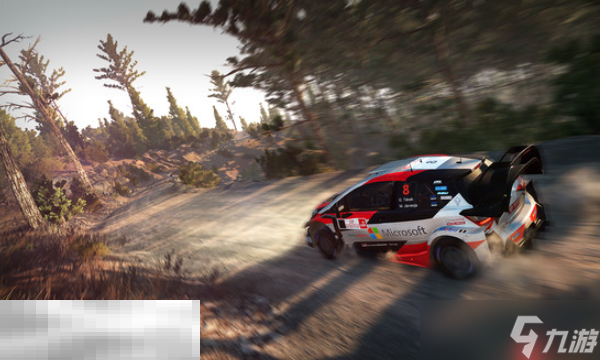 WRC 8 FIA World Rally Championship兑换码分享 WRC 8 FIA世界拉力锦标赛最新兑换码