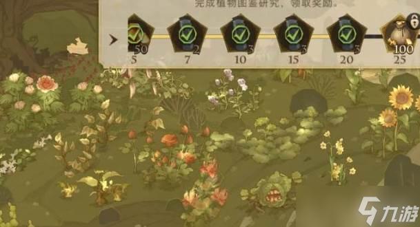 哈利波特魔法觉醒草药种植