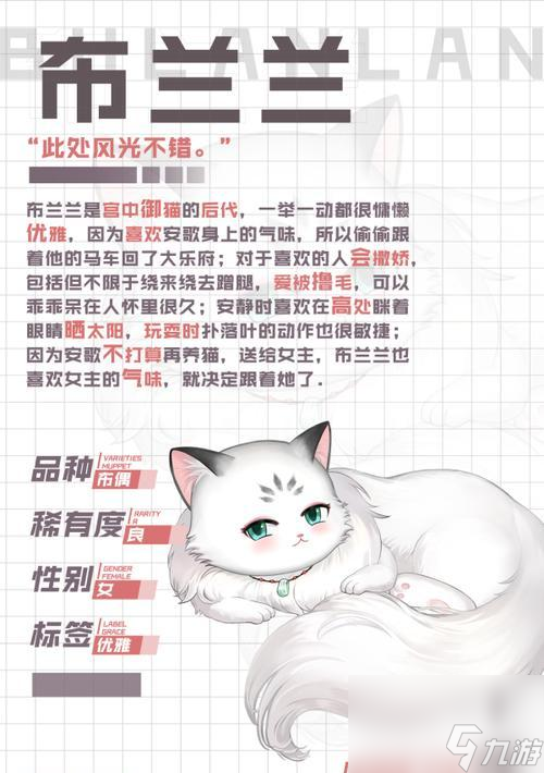 優(yōu)品靈貓大揭秘(以靈貓傳優(yōu)品靈貓品種為主題的精彩游戲體驗和傳說)