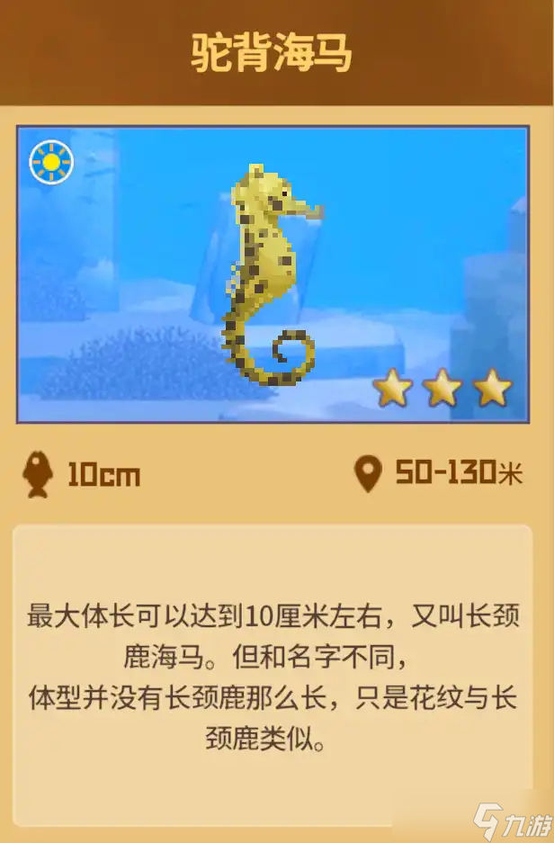 潜水员戴夫怎么才能抓到海马