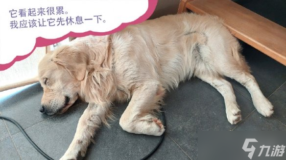 終于能云養(yǎng)狗了！"真狗"互動模擬游戲上線Steam頁面