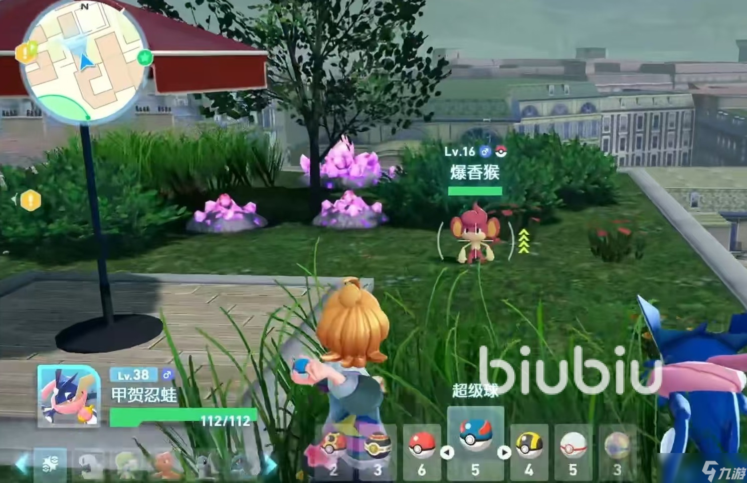 宝可梦传说z-a爆香猴怎么样 宝可梦传说z-a爆香猴实战强度分析