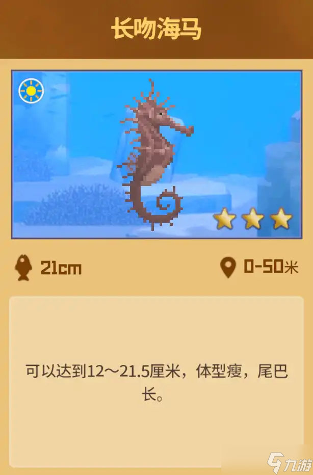 潜水员戴夫怎么才能抓到海马