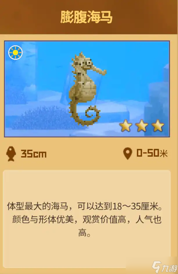 潜水员戴夫怎么才能抓到海马