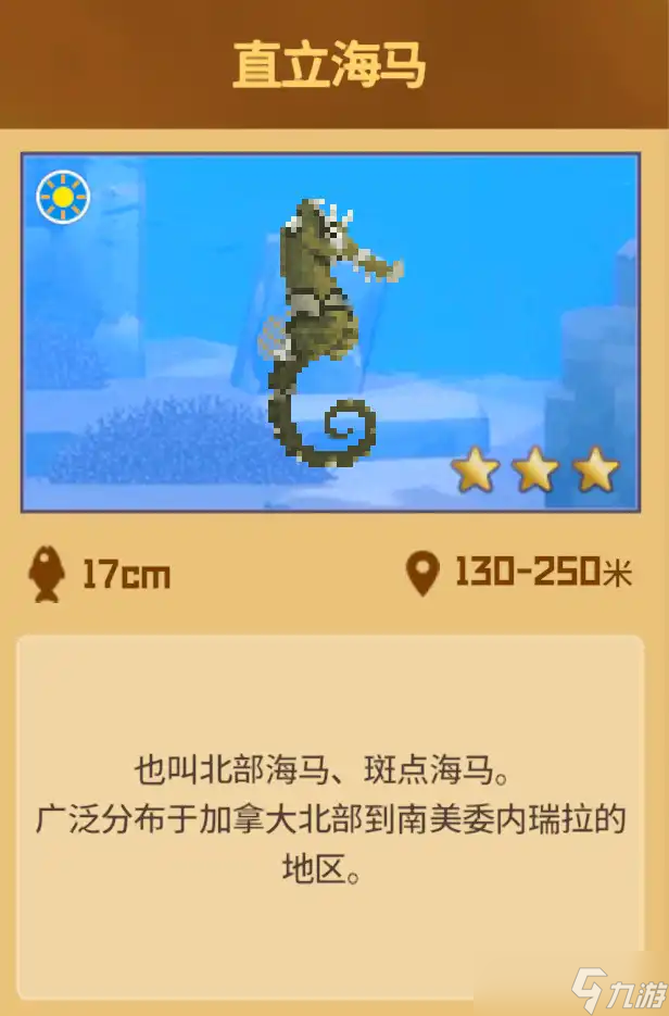 潜水员戴夫怎么才能抓到海马