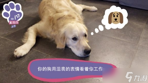 終于能云養(yǎng)狗了！"真狗"互動模擬游戲上線Steam頁面