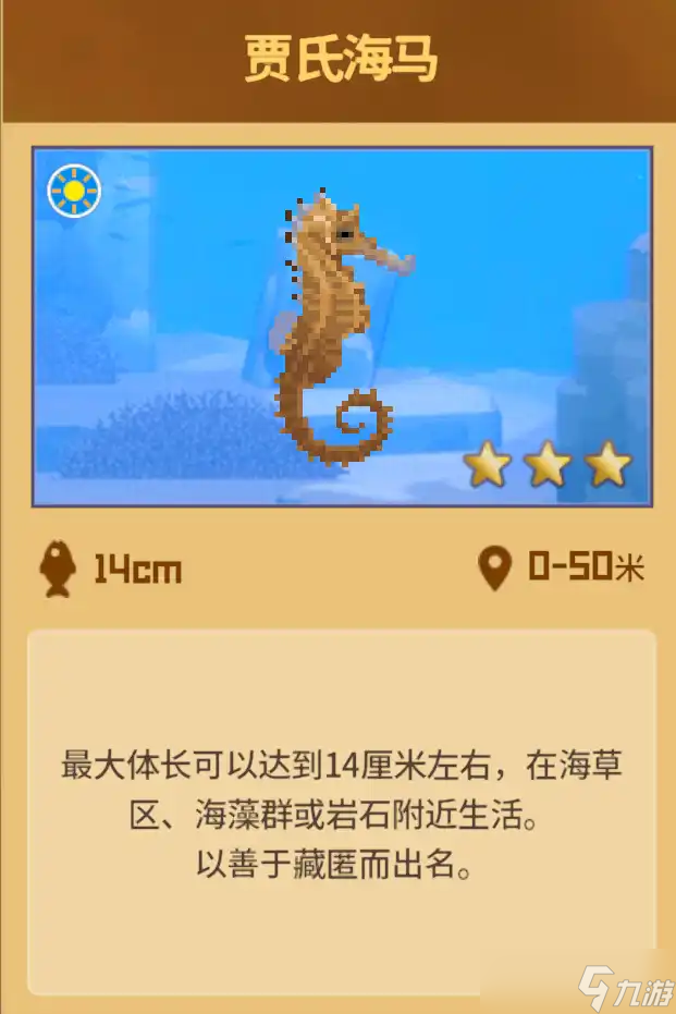 潜水员戴夫怎么才能抓到海马