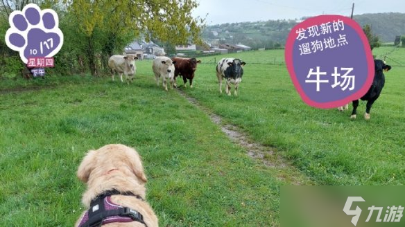 終于能云養(yǎng)狗了！"真狗"互動模擬游戲上線Steam頁面