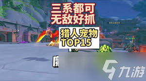 魔兽世界11.5猎人带什么宝宝好