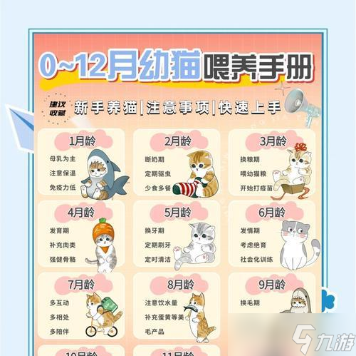 《小森生活》喂貓攻略(以游戲為主)