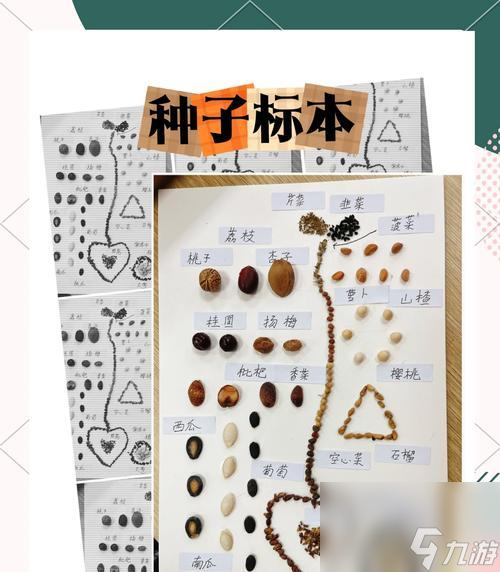 怎么在以手工星球中获取种子 探索游戏世界