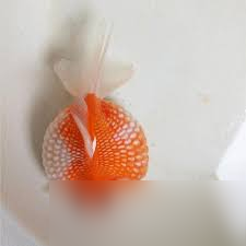 珍珠鱗金魚有什么獨(dú)特的鱗片特點(diǎn)