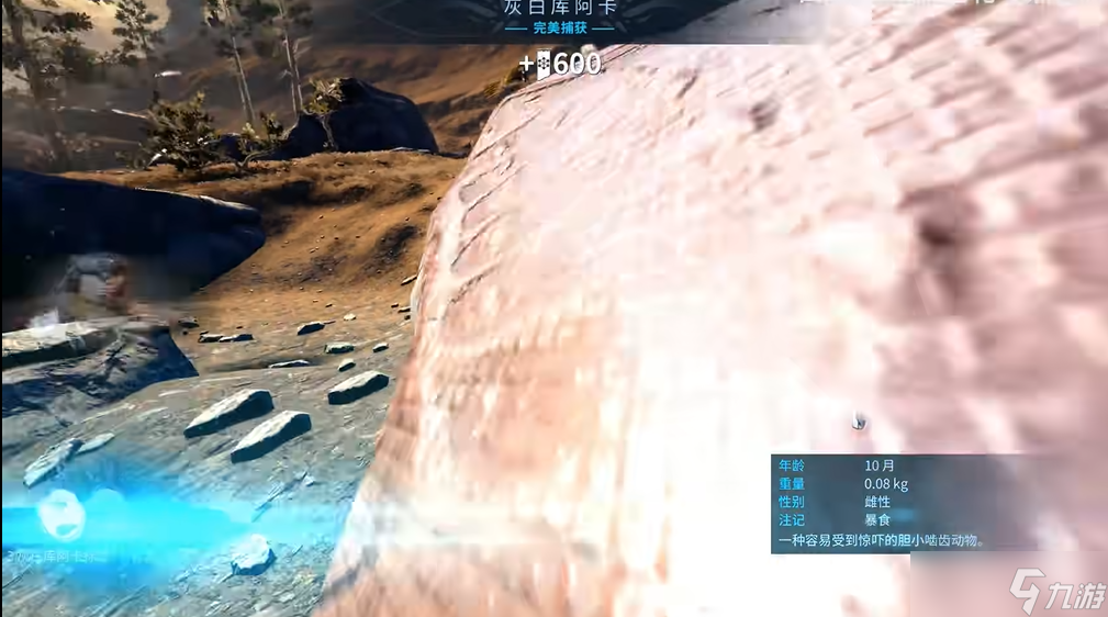 星际战甲地球怎么捕捉动物