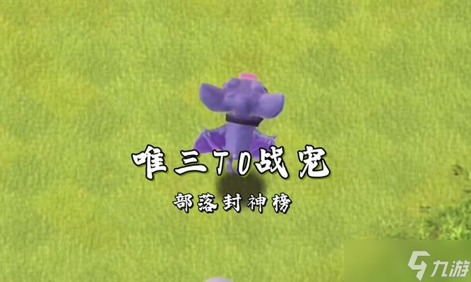 阿啾在部落沖突中的性能和作用如何？