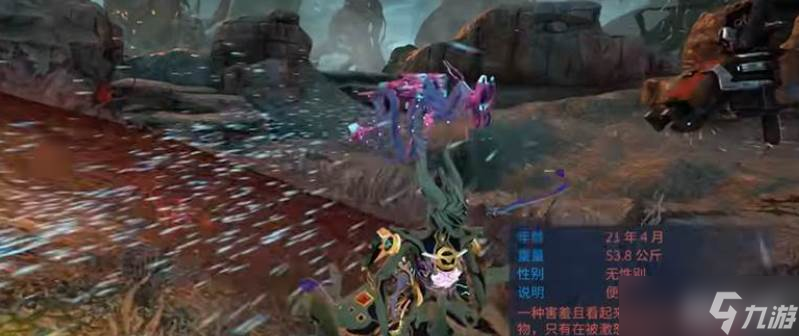 星際戰(zhàn)甲小動(dòng)物介紹