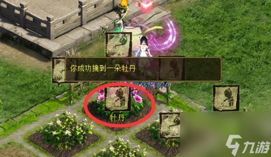 大话西游花圃被偷的应对措施是什么