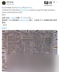 伙伴彈途青蛇怎么樣