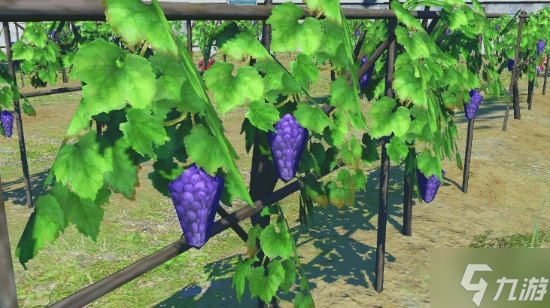 《最终幻想14》搞笑梗图再现!《宝可梦传说 Z-A》中出现"多边形葡萄"截图