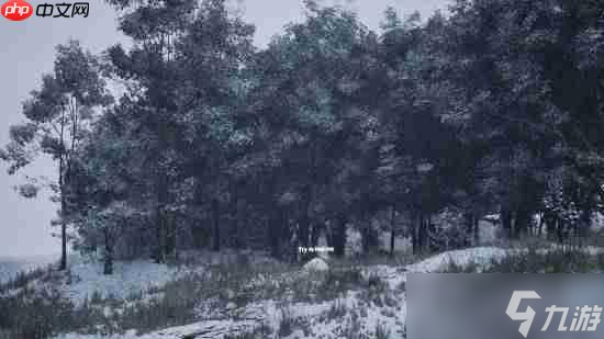 冥想式挂机游戏《石头模拟器》新增4人联机！