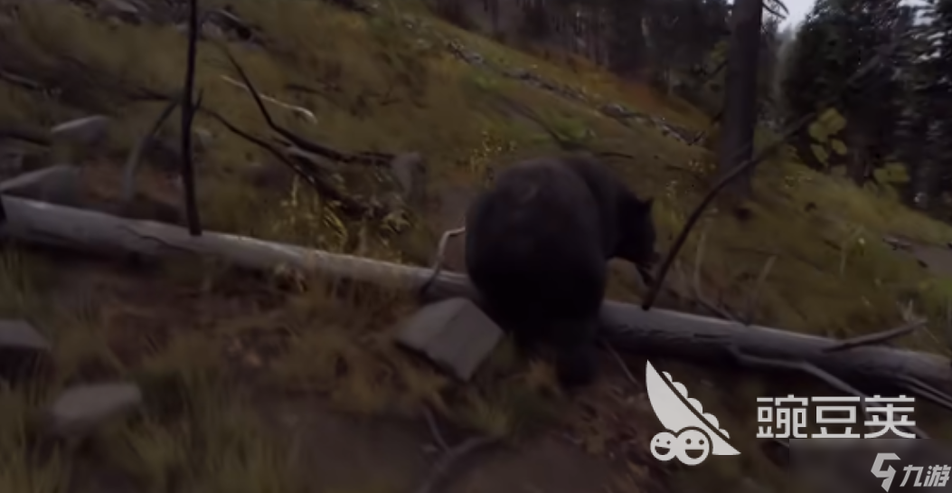 獵人之路打動物什么位置好打 獵人之路打動物位置攻略